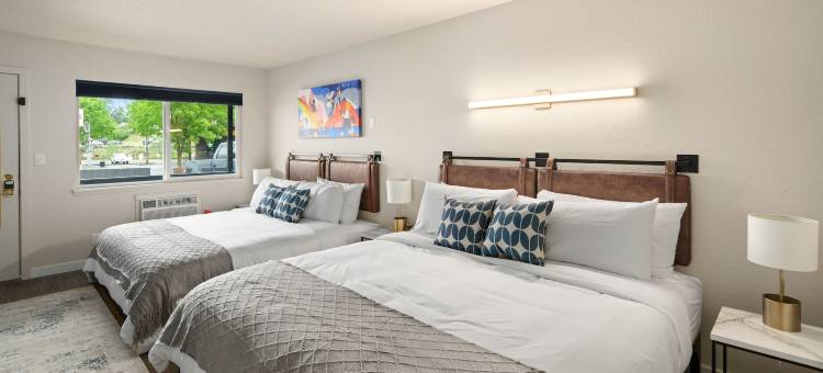 麦科伊酒店 - 艺术，酒精，游泳社会(Hotel McCoy - Art, Libations, Pool Society)图片