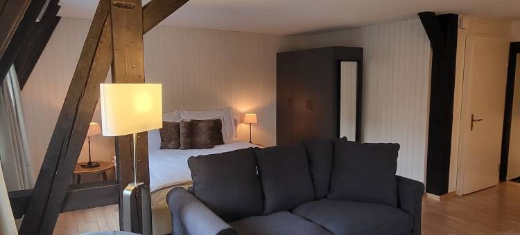 楚格中心时尚公寓(Stylish Apartment in the Heart of Zug by Airhome)图片