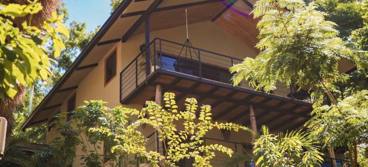 树屋酒店和度假村(TreeCasa Hotel & Resort Nicaragua)图片