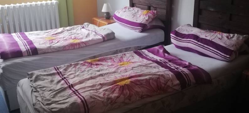 Pension am Messegelände图片