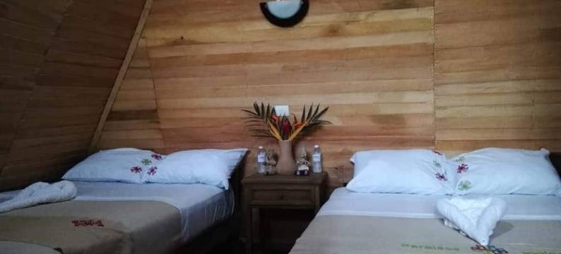 拉康多纳区桑特德里奥酒店(Santuario Zona Lacandona)图片