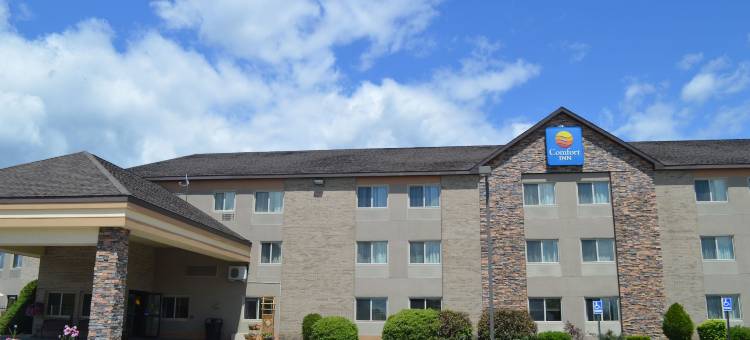 舒适酒店(Comfort Inn)图片