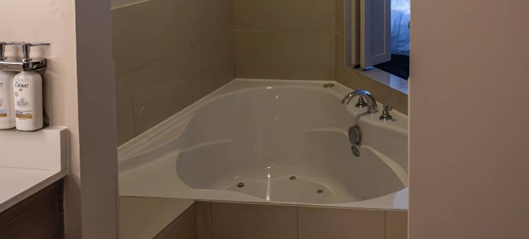 智选假日套房酒店布罗克维尔(Holiday Inn Express & Suites Brockville)图片