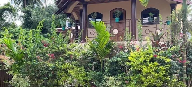 波希米亚风客房(Chambres Bohèmes)图片