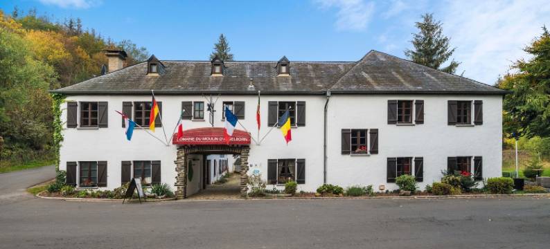 多迈纳都穆林达瑟尔博恩酒店(Domaine du Moulin d'Asselborn)图片