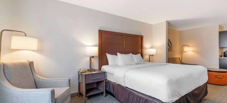 切斯特顿舒适套房酒店(Comfort Inn & Suites Chestertown)图片