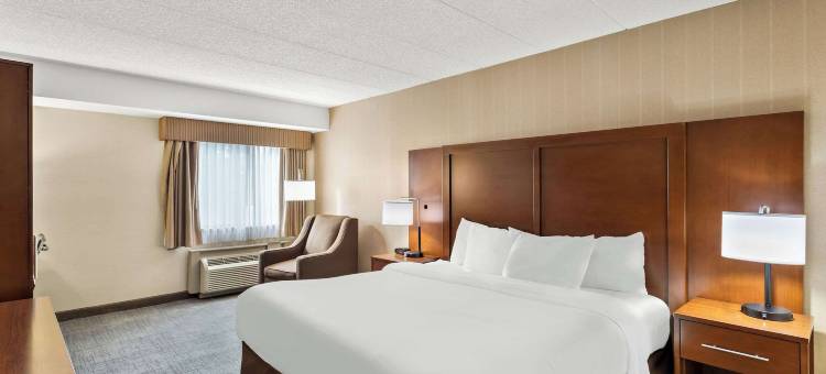 舒适酒店(Comfort Inn)图片