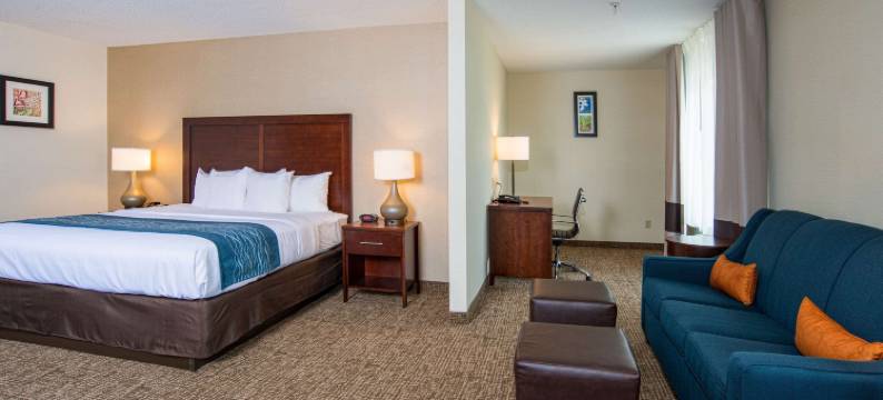 康乃迪克诺格塔克谢尔顿舒适酒店(Comfort Inn Naugatuck-Shelton, CT)图片