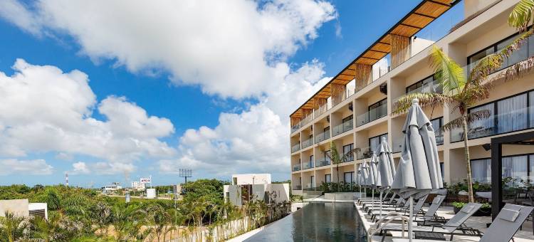 Hive Cancun by G Hotels图片