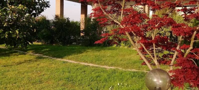 艾咪与朱莉民宿(B&B Amy&Julie)图片