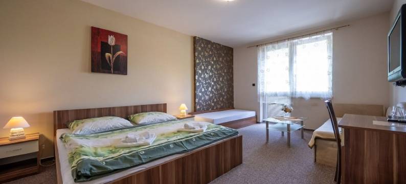 潘吉翁姬夫卡旅馆(Penzión Zivka)图片