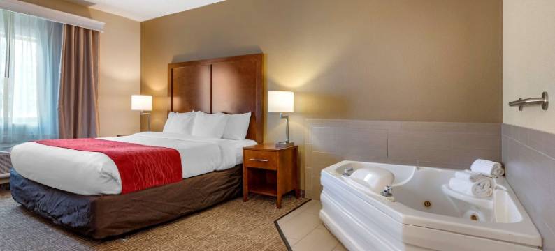 拉波特舒适酒店(Comfort Inn la Porte)图片