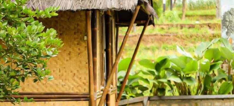 奇昂朱尔稻田青年旅舍(Cianjur Paddies Hostel)图片