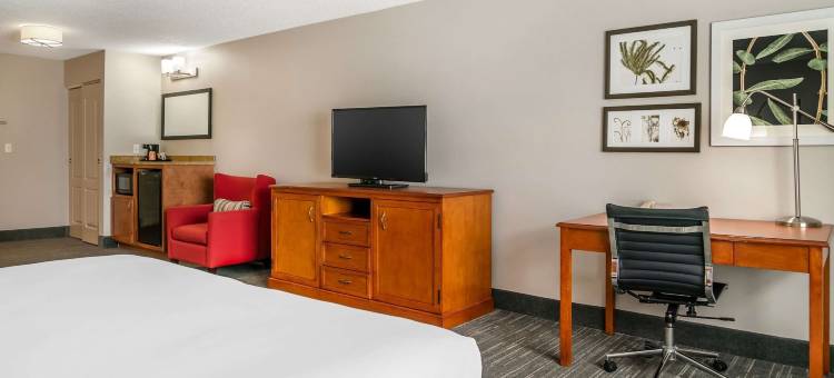 托莱多南丽怡酒店(Country Inn & Suites by Radisson, Rossford - Toledo South)图片