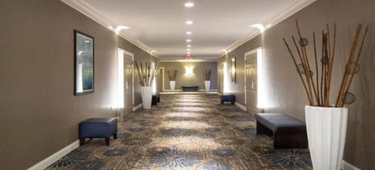 积逊维尔河畔希尔顿逸林酒店(DoubleTree by Hilton Jacksonville Riverfront)图片