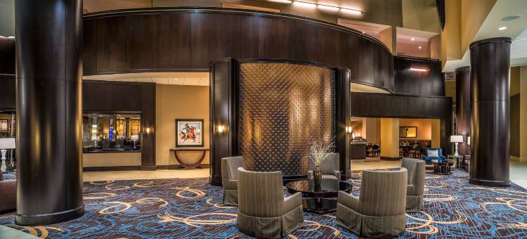 北休斯顿乔治布什洲际机场喜来登酒店(Sheraton North Houston at George Bush InterContinental)图片