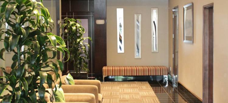 威利斯惠灵顿酒店(Willis Wellington Hotel)图片