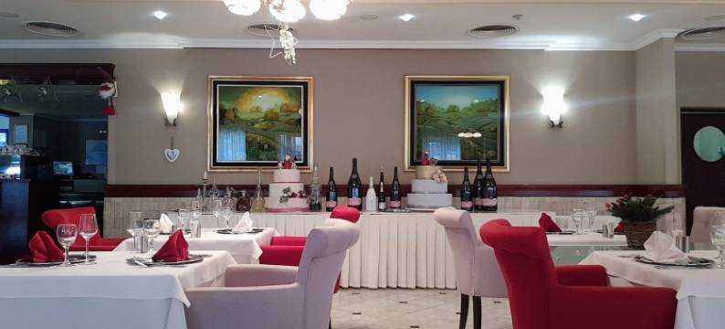 凤凰酒店(Hotel Phoenix)图片