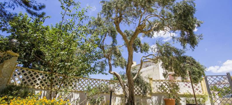 沙林纳公寓酒店(Residence le Saline)图片