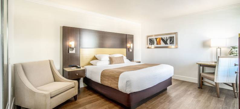 纽波特海滩酒店海湾小旅馆(Little Inn by the Bay Newport Beach Hotel)图片