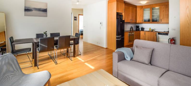 N19 公寓酒店(Apartment N19)图片