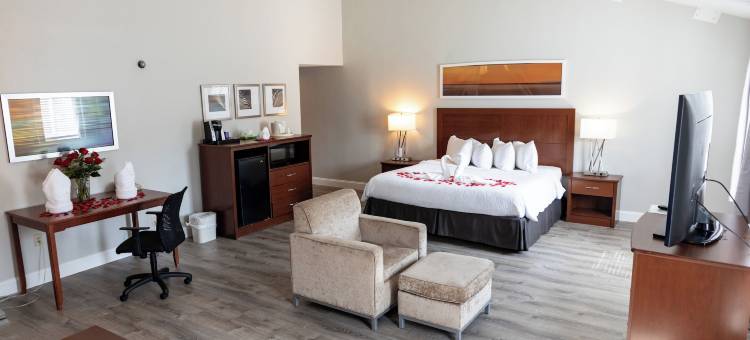 Iris Hotel Cape Cod图片