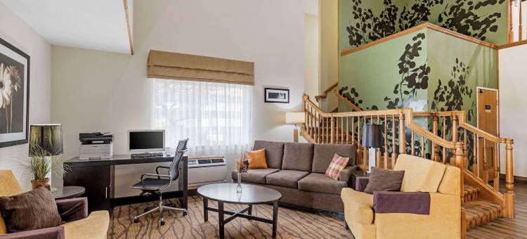 安眠套房酒店(Sleep Inn & Suites)图片