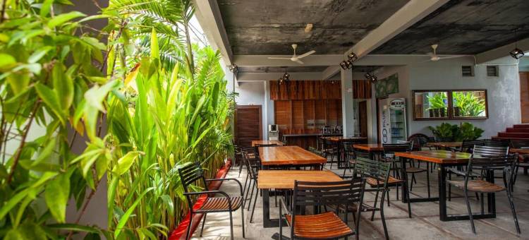 渔夫乔旅馆(Joe Fisherman Inn)图片