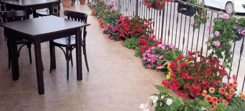 圣罗伦佐酒店(San Larenzu)图片