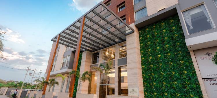 赛雅吉•波泰尔豪华酒店(Effotel by Sayaji Bhopal)图片