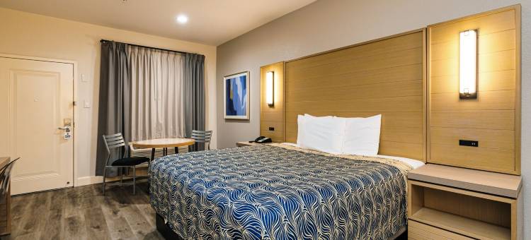 蓝宫酒店东IAH(Palace Inn Blue IAH East)图片