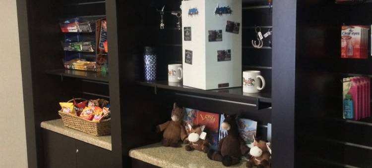 路易斯维尔东Homewood Suites by Hilton(Homewood Suites by Hilton Louisville-East)图片