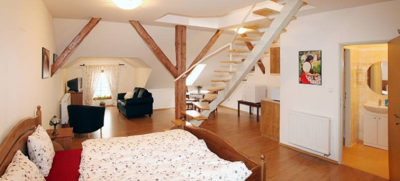 乔德斯凯霍赫拉杜膳食公寓酒店(Penzion U Chodskeho Hradu)图片