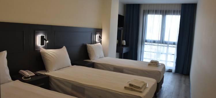 Shishly宫殿酒店(Shishly Palace Hotel)图片