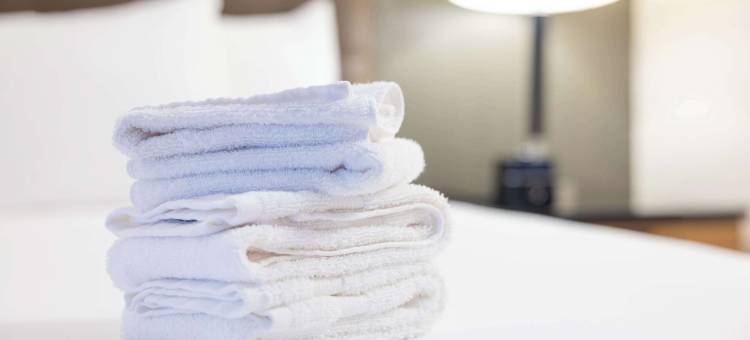 亨茨维尔太空火箭中心德鲁里套房酒店(Drury Inn & Suites Huntsville Space & Rocket Center)图片