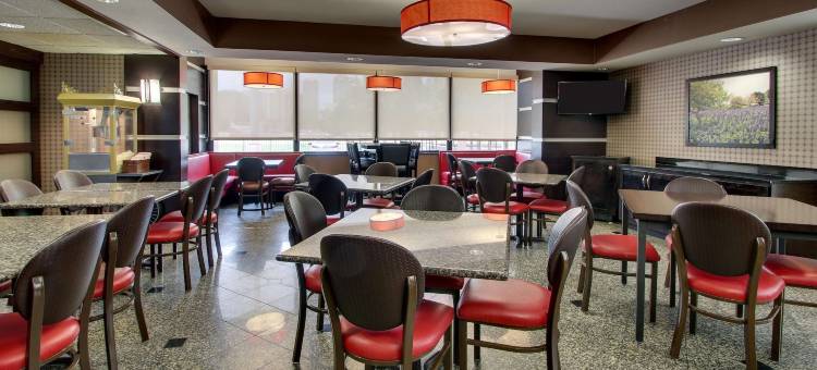休斯顿加勒里亚德鲁里套房酒店(Drury Inn & Suites Houston Galleria)图片