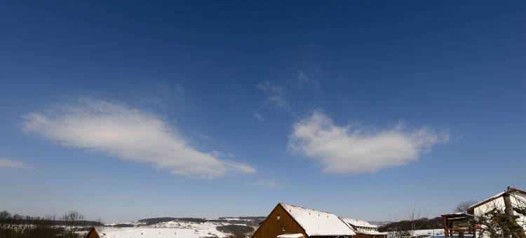 蒂申 - 比奥朗德勒尼斯胡法酒店(Jufa Hotel Tieschen)图片