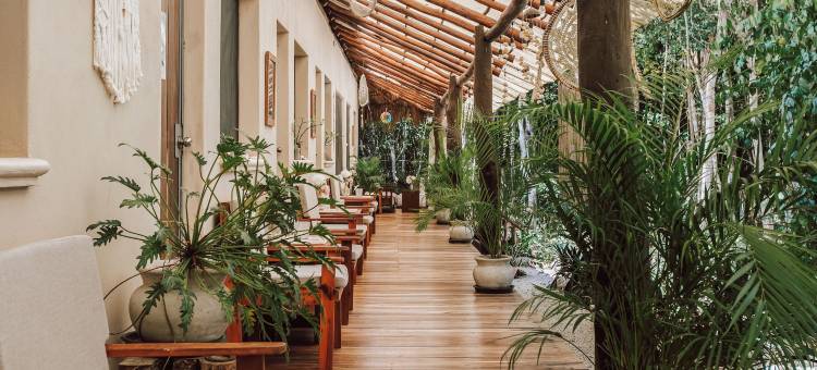 卡萨阿卡纳生态度假屋(Casa Arkaana Eco Retreat)图片