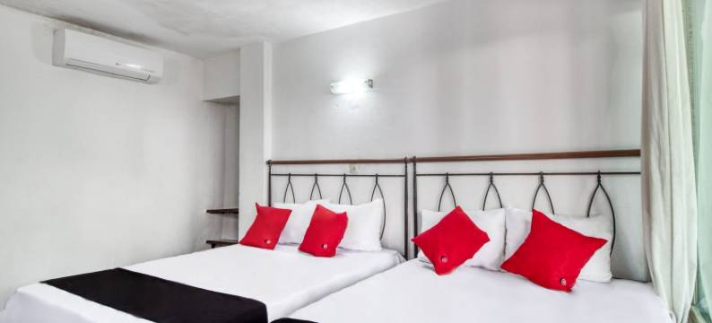 圣卡洛斯酒店(Hotel San Carlos)图片