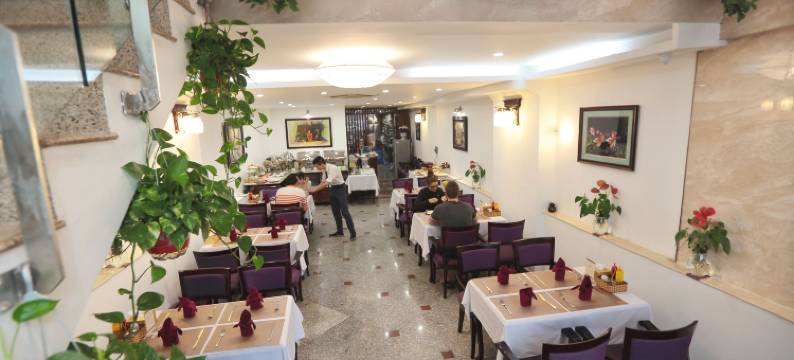 河内西瓦豪华酒店(Hanoi Siva Luxury Hotel)图片