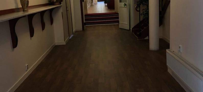 比奥尼德特酒店(Hotell Björnidet)图片