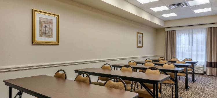 机场舒适套房酒店(Comfort Inn & Suites Airport)图片