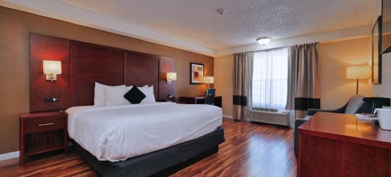 奥本红狮套房酒店(Red Lion Inn & Suites Auburn)图片