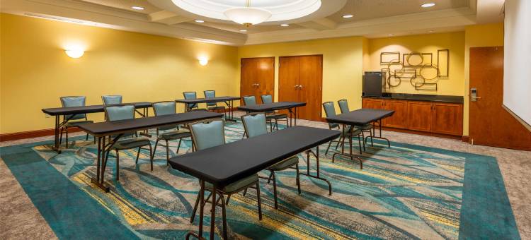 圣路易斯-切斯特菲尔德德鲁里广场酒店(Drury Plaza Hotel St. Louis Chesterfield)图片