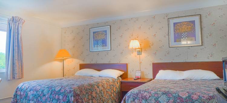 OYO 湾城湾汽车旅馆(Bay Motel by OYO Bay City)图片