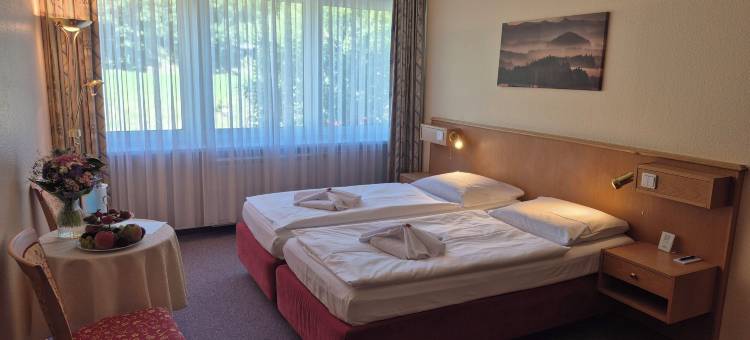 奥泊维森塔尔全景酒店(Panorama Hotel Kurort-Oberwiesenthal)图片