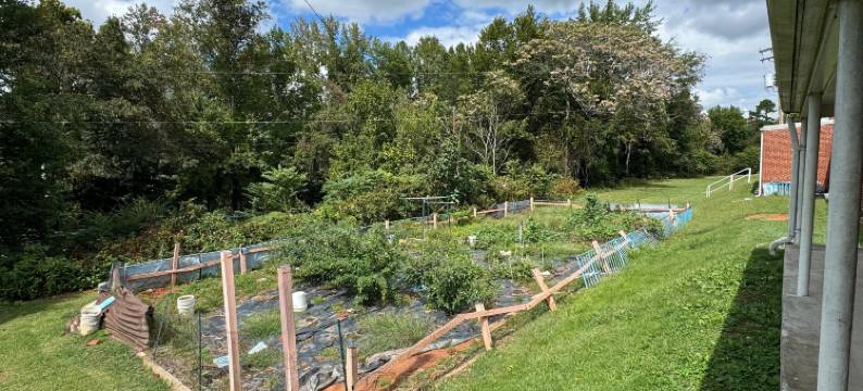 OYO 旅行旅馆 丹维尔 US-29(Travel Inn by OYO Danville US-29)图片