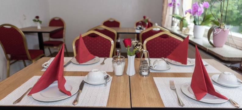 魏森瑙膳食公寓酒店(Hotel Pension Wiesenau)图片