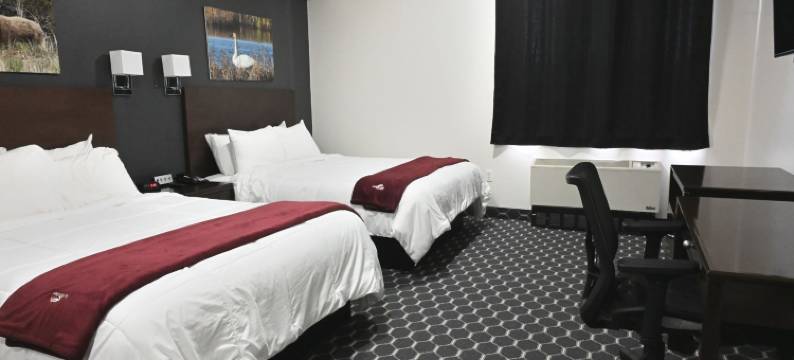 帕芬旅馆(Puffin Inn)图片