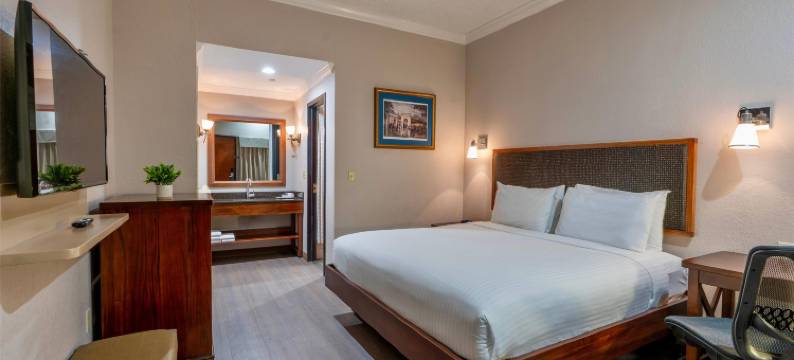 温德姆花园酒店-新奥尔良巴罗纳广场(Wyndham Garden Baronne Plaza New Orleans)图片